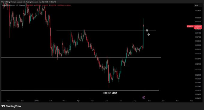 A TradingView daily candlestick chart for Bitcoin/USD on Binance, showing a 'HIGHER LOW' annotation with horizontal support lines and an arrow pointing to recent price action near $31,500.