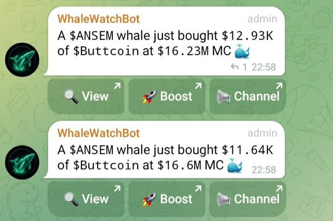 Telegram bot notifications from 'WhaleWatchBot' (admin) reporting that a $ANSEM whale purchased $12.93K and $11.64K of $Buttcoin at $16.23M MC and $16.6M MC market caps, with View/Boost/Channel action buttons.