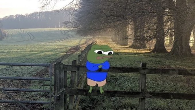 An edited image showing a Pepe the Frog character wearing a blue shirt, standing with crossed arms in a foggy field next to a wooden fence.