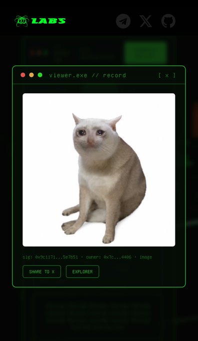 A digital interface display showing a white cat sitting upright, with text including 'LABS', 'viewer.exe // record', and buttons labeled 'SHARE TO X' and 'EXPLORER'.