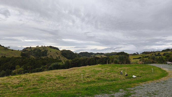 A scenic landscape of rolling green hills with patches of trees under an overcast, cloudy sky, with a gravel road on the right side.