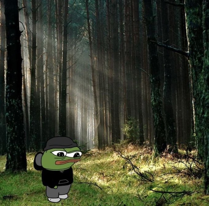 A cartoon green Pepe the Frog character wearing a black hoodie and backpack stands on a forest floor in front of a misty, sunlit woodland.