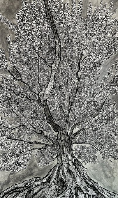 A black and white aerial view shows a large tree with extensive branches and a textured, spotty canopy spreading outward.