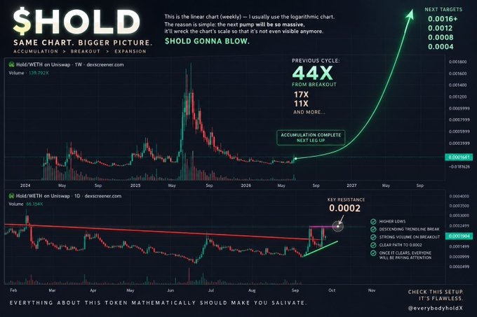 A cryptocurrency chart titled '$HOLD' displays price predictions with text including 'ACCUMULATION > BREAKOUT > EXPANSION', 'SHOLD GONNA BLOW', 'PREVIOUS CYCLE: 44X FROM BREAKOUT', 'NEXT TARGETS: 0.0016+, 0.0012, 0.0008, 0.0004', and the Twitter handle @everybodyholdX.