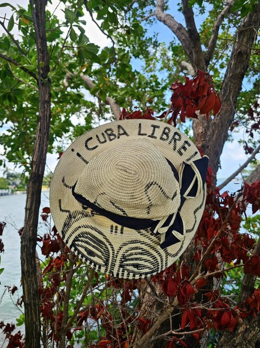 A woven straw hat with 'CUBA LIBRE' text and a graphic design hangs in a tree with red and green leaves, overlooking a body of water.