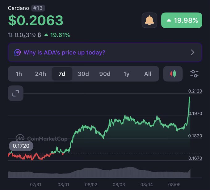 A CoinMarketCap chart shows Cardano (ADA) trading at $0.2063, up 19.98% with a 7-day gain of 19.61%, ranking #13 by market cap. The image supports the post's claim of ADA's +20% weekly performance, contrasting with Bitcoin, Ethereum, and Solana.