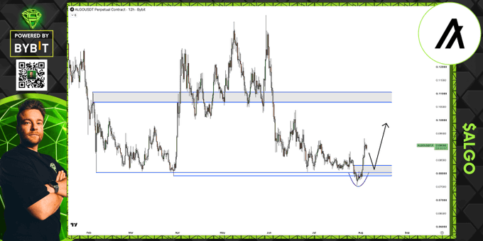 The image shows a technical analysis chart of the $ALGO/USDT perpetual contract on a 12-hour timeframe (powered by BYBIT), featuring a presenter labeled "SALGO" alongside a price chart with support zones marked and an upward arrow indicating a potential bullish move. The chart visually supports the post's analysis by displaying a recent dip near a grey support box with an annotation suggesting a bounce and continuation higher.