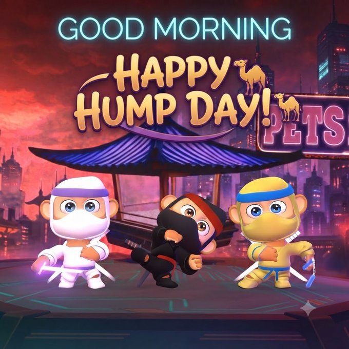 A colorful graphic reads 'GOOD MORNING HAPPY HUMP DAY!' featuring three cartoon ninja monkey characters with the word 'PETS' beside them.
