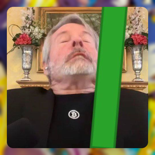 Man with grey beard and closed eyes wearing a black shirt with a Bitcoin (₿) logo, sitting in front of an ornate background with floral arrangements. A green vertical bar overlays the right side of the image.