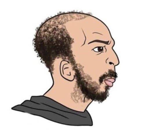 An illustrated cartoon profile of a man with curly brown hair on top, a full beard, and wearing a dark shirt.