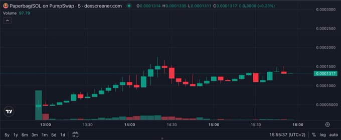 A candlestick chart from DexScreener showing the trading pair 'Paperbag/SOL on PumpSwap' with price around 0.0001317 USD, showing price action over a 5-minute timeframe with 87.79 volume.