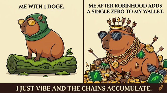 A two-panel meme illustration showing a capybara: the left panel reads 'ME WITH 1 DOGE' showing the capybara in a green hood on a log, while the right panel reads 'ME AFTER ROBINHOOD ADDS A SINGLE ZERO TO MY WALLET' depicting the capybara as a wealthy king with chains and sunglasses on a pile of coins, with the caption 'I JUST VIBE AND THE CHAINS ACCUMULATE.'