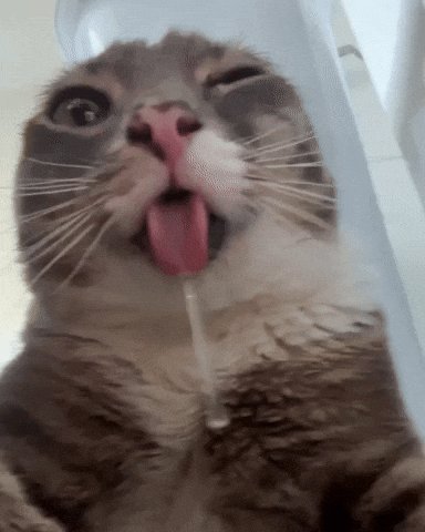 None