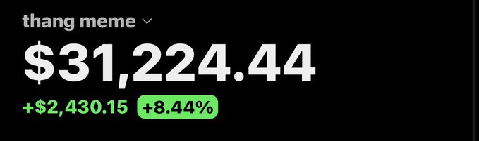 A financial app showing 'thang meme' with a price of $31,224.44, up +$2,430.15 (+8.44%).