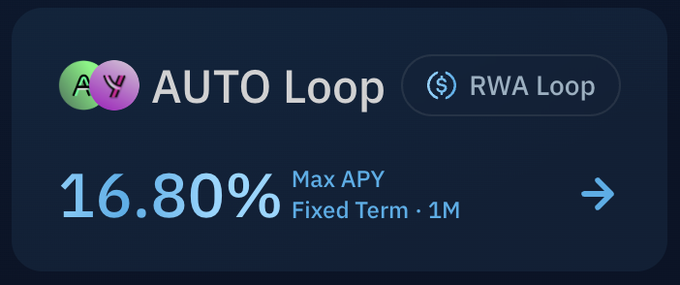 Promotional graphic for 'AUTO Loop' by AYX showing a 16.80% Max APY on a 1M Fixed Term, with a button labeled 'RWA Loop'.
