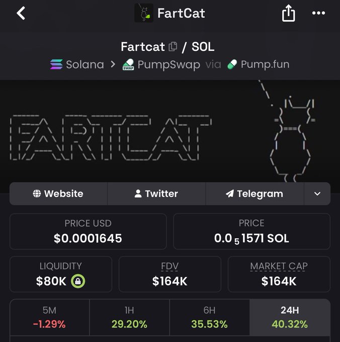 The image shows a cryptocurrency tracking screen for "Fartcat" (ticker $Fartcat) on the Solana network via PumpSwap/Pump.fun, displaying a current price of $0.0001645 (0.0₅1571 SOL), a market cap of $164K, FDV of $164K, and liquidity of $80K, with notable 24-hour gains of +40.32%. This aligns with the bullish post claiming Fartcat is heading "to a million+," highlighting its strong upward momentum across multiple timeframes despite the relatively modest market cap currently shown.