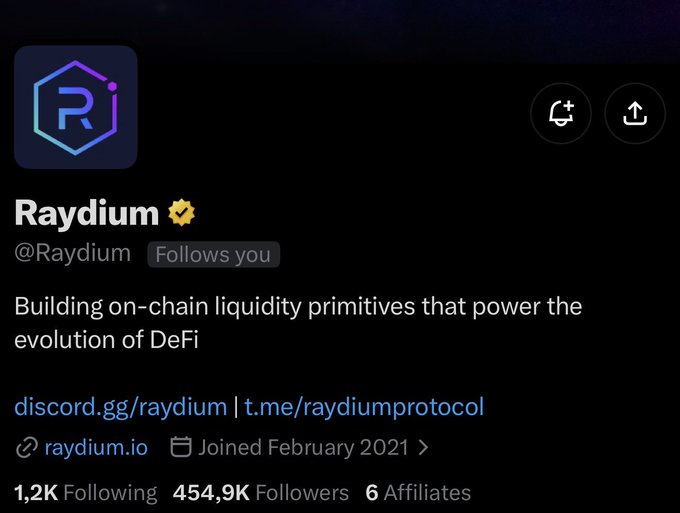 The image shows a Twitter/X profile for Raydium (@Raydium), a verified account with 454.9K followers that describes itself as "Building on-chain liquidity primitives that power the evolution of DeFi," and the post suggests excitement about being followed by this prominent DeFi protocol as a potential signal of future partnerships and growing recognition.