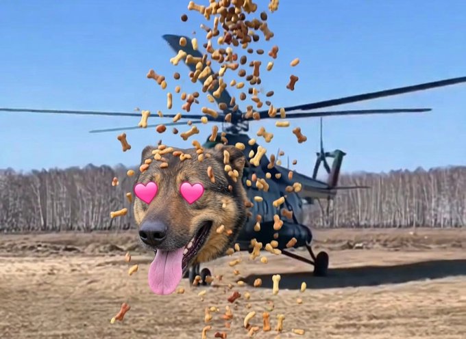 A German Shepherd with heart-eyes gleefully catches a shower of dog treats falling from above, set against a military-style helicopter in an open field. The scene humorously personifies the "helidog" ticker, suggesting $helidog is receiving a Christmas treat.
