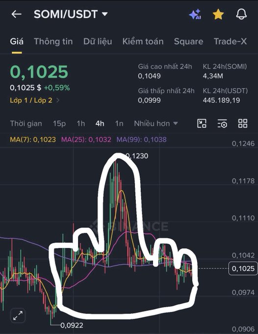 A cryptocurrency trading chart for the SOMI/USDT pair on Binance showing a price of 0.1025 USDT, with a 4-hour candlestick pattern circled in white showing volatility between approximately 0.0922 and 0.1230.