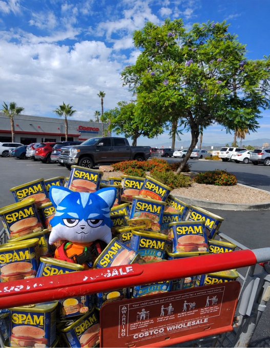 A shopping cart filled with many cans of SPAM and a blue Sonic the Hedgehog plush toy, parked outside a Costco Wholesale with a parking lot in the background.