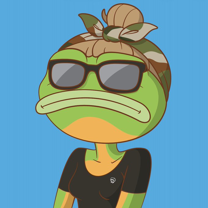 A cartoon illustration of a green Pepe-style frog character wearing a camouflage headscarf tied at the top, black sunglasses, and a black t-shirt with a small white logo, set against a blue background.