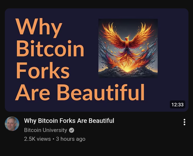 A YouTube video titled "Why Bitcoin Forks Are Beautiful" by Bitcoin University, posted 3 hours ago with 2.5K views and a 12:33 runtime, featuring a dramatic phoenix illustration. The fiery phoenix imagery visually reinforces the post's message about forks representing renewal and consensus-driven evolution rather than destructive fractures.