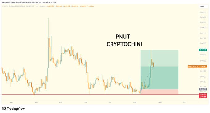 A TradingView candlestick chart for PNUT/USDT on Binance perpetual contract showing a 'PNUT CRYPTOCHINI' annotation with green and red highlighted zones from August to October 2026.