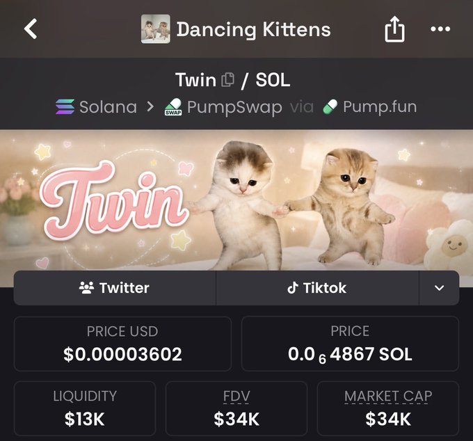 A meme coin page for "$Twin/SOL" on PumpSwap via Pump.fun, featuring two dancing kittens in its banner, with a price of $0.00003602, liquidity of $13K, FDV of $34K, and market cap of $34K—aligning with the post promoting the "Dancing Kittens" OG $Twin token as bullish.