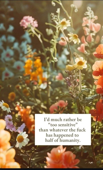 A vibrant garden of mixed wildflowers in soft, sunlit pastels features an overlaid quote reading, "I'd much rather be 'too sensitive' than whatever the fuck has happened to half of humanity." The image pairs with a Friday web3 post celebrating emotional sensitivity and individuality, reinforcing the message that being an "emotional gangster" embraces authenticity over emotional detachment.