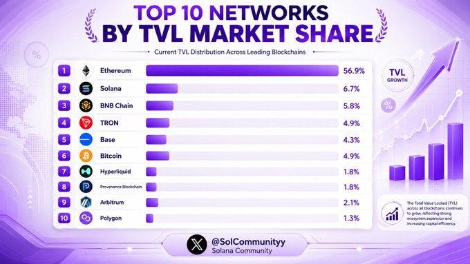 An infographic titled 'TOP 10 NETWORKS BY TVL MARKET SHARE' listing Ethereum (56.9%), Solana (6.7%), BNB Chain (5.8%), TRON (4.9%), Base (4.3%), Bitcoin (4.9%), Hyperliquid (1.8%), Provenance Blockchain (1.8%), Arbitrum (2.1%), and Polygon (1.3%).