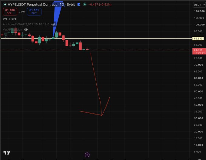A cryptocurrency trading chart showing the HYPE/USDT Perpetual Contract on Bybit, with the price dropping sharply on a red line from around 89 to approximately 35, alongside a candlestick chart.