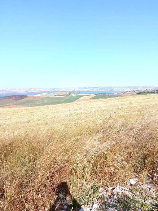 A scenic landscape photograph showing golden grass fields in the foreground with a distant view of hills and a city on the horizon under a clear blue sky.