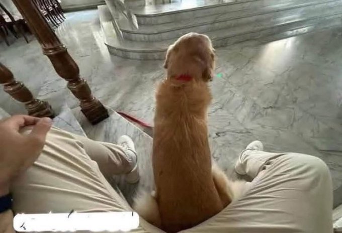 A golden retriever dog with a red collar sits between a person's legs on marble stairs, viewed from the person's perspective in a first-person selfie shot.