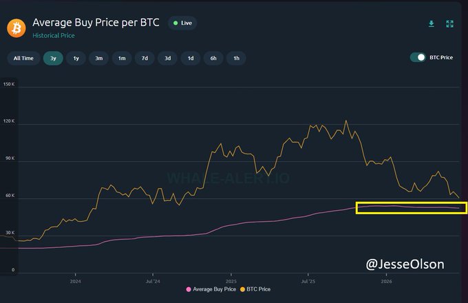 A "Average Buy Price per BTC" chart from Whale-Alert.io shows the BTC price (orange line) currently around $60K but declining toward the average buy price (pink line) near $52K, highlighted by a yellow box, visually supporting the post's claim that BTC is retesting its pink average buy price level as a key bear-market support.