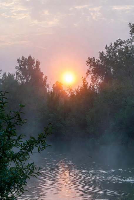 The image features a beautiful sunrise over water with trees in the background, creating an overall serene atmosphere. The sun is rising from the left side of the frame, casting its warm glow across the scene. In the foreground, there are some bushes that add depth and detail to the landscape. The post seems to be discussing the use of Tria, a social media platform, with a focus on @useTria. It appears that the post is asking whether using Tria is worth it or not.