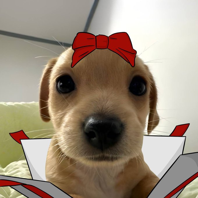A close-up photo of a golden retriever puppy edited with cartoon red bow on its head and an anime-style outfit collar.