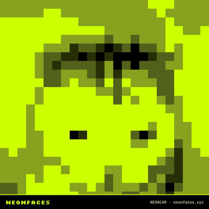 A pixel-art style image showing a green face with sunglasses, labeled 'NEONFACES' and 'NEONCAM · neonfaces.xyz' in the corners.