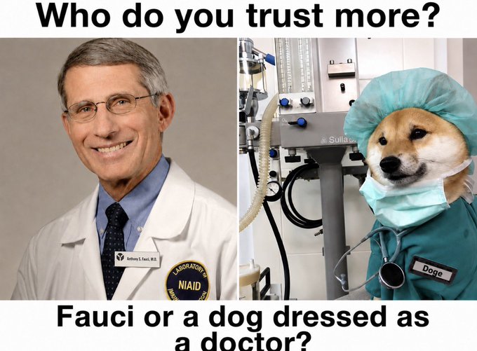 A meme asking 'Who do you trust more? Fauci or a dog dressed as a doctor?' showing Anthony Fauci in a NIAID lab coat on the left and a Shiba Inu (Doge) wearing surgical scrubs on the right.