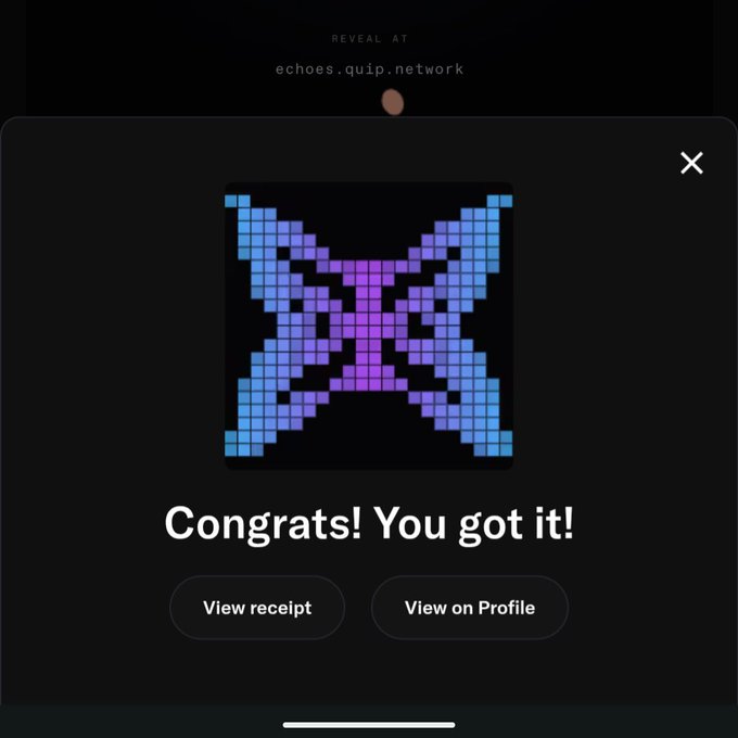 A digital reward screen displaying a pixelated blue and purple 'X' design with the congratulatory message 'Congrats! You got it!' and buttons for 'View receipt' and 'View on Profile'.