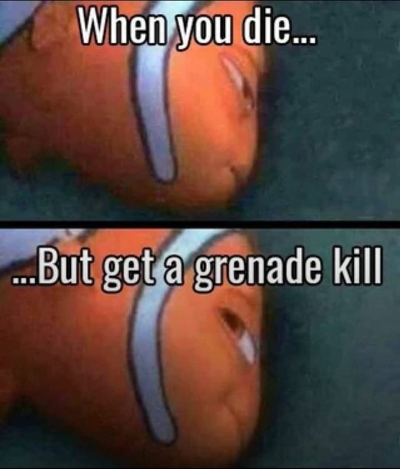 A two-panel meme showing a close-up of Nemo from *Finding Nemo* with text reading "When you die..." (top) and "...But get a grenade kill" (bottom). The image humorously relates to the post by capturing the bittersweet victory of dying in a game but still managing a satisfying final kill—mirroring the feeling of being deep in crypto losses but clinging to a small win to keep hope alive.