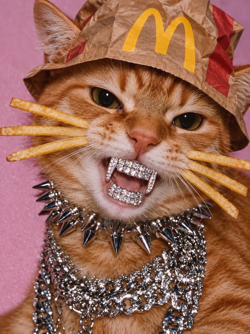 An orange tabby cat wearing a McDonald's paper bag hat with french fries in its whiskers, sporting diamond-encrusted grillz on its teeth, a silver spiked collar, and multiple silver chains against a pink background.
