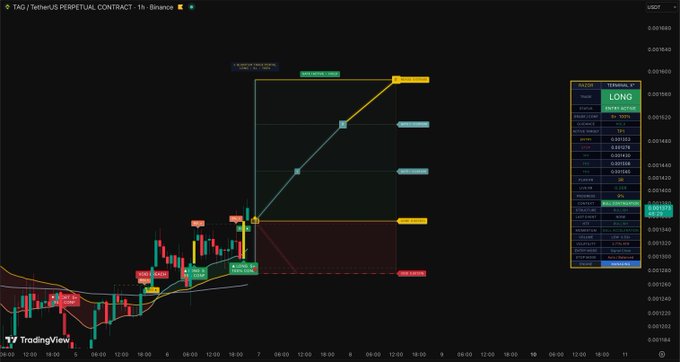 A TradingView chart displays a 'LONG' entry active for the 'TAG // TetherUS PERPETUAL CONTRACT - 1h' on Binance, showing an entry price of 0.001490 with TP1, TP2, and SL levels marked.