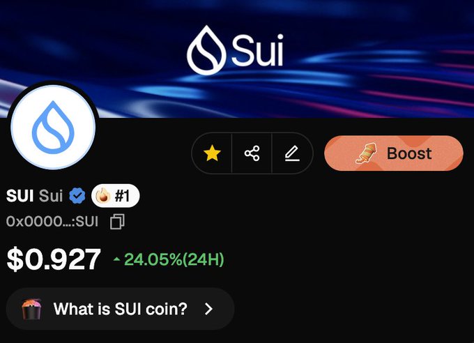 A cryptocurrency listing for Sui (SUI) token displaying a price of $0.927 with a 24-hour increase of 24.05%, ranked #1 with a 'Boost' button and 'What is SUI coin?' prompt visible.