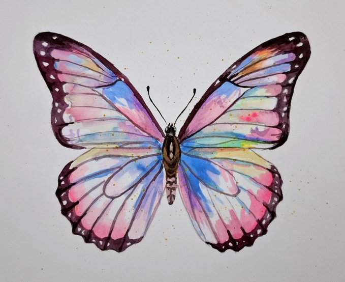 A watercolor painting of a butterfly with pastel pink, blue, yellow, and purple wings outlined in dark ink, displayed against a light gray background.