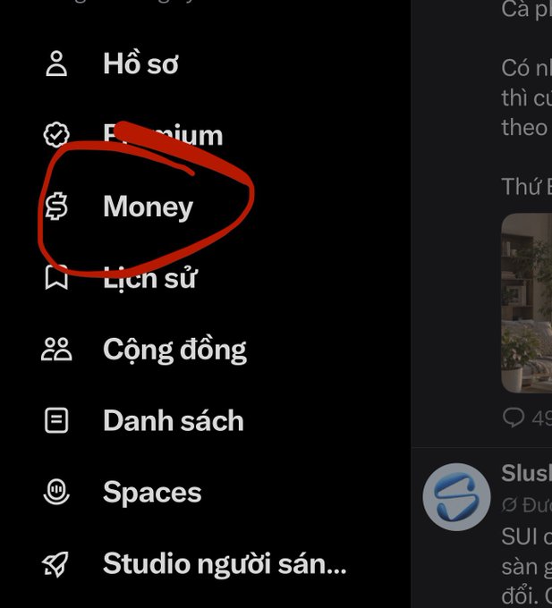 A dark-themed app menu in Vietnamese with the 'Money' option circled in red.