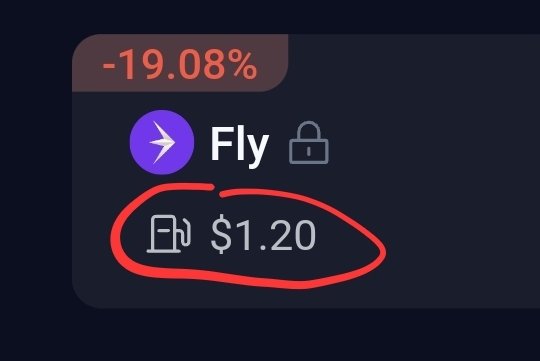 A close-up of a cryptocurrency token display showing the token 'Fly' with a locked padlock icon, down -19.08%, with a gas fee of $1.20 circled in red.