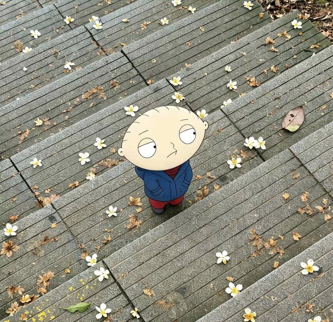Stewie from Family Guy stands alone on a stone staircase scattered with white flowers, oddly matching the wholesome "gm" (good morning) vibe with a grumpy face but peaceful surroundings.