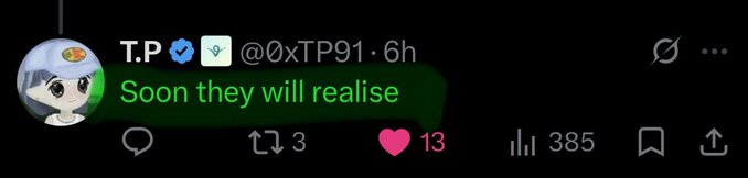 The image shows a social media post with a cartoon character, possibly a person or an animal, wearing a hat and sunglasses. The post has a green heart symbol next to the text "Soon they will realise" and a number 13 below it. The caption reads "$TIBBIR COMMUNITY".