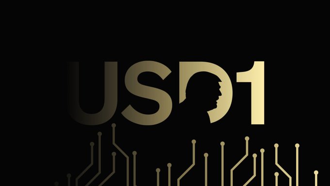 A minimalist logo design features 'USD1' in gold text, where the 'D' cleverly incorporates a profile silhouette, set above a stylized circuit board pattern.