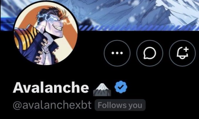 The image shows an X (Twitter) profile for "Avalanche" (@avalanchexbt) with a verified checkmark, featuring an avatar of a grinning character with lightning in their eyes, and a "Follows you" indicator next to the username. The post references a "Follows you" status, highlighting that the account already follows many of their mutuals, suggesting followers may get a follow back in return.